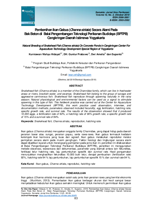 Natural Breeding of Snakehead Fish (Channa striata) On Concrete Ponds in Cangkringan Center For Aquaculture Technology Development Special Region of Yogyakarta