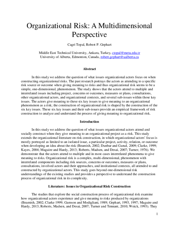 (PDF) Organizational risk: a multidimensional perspective