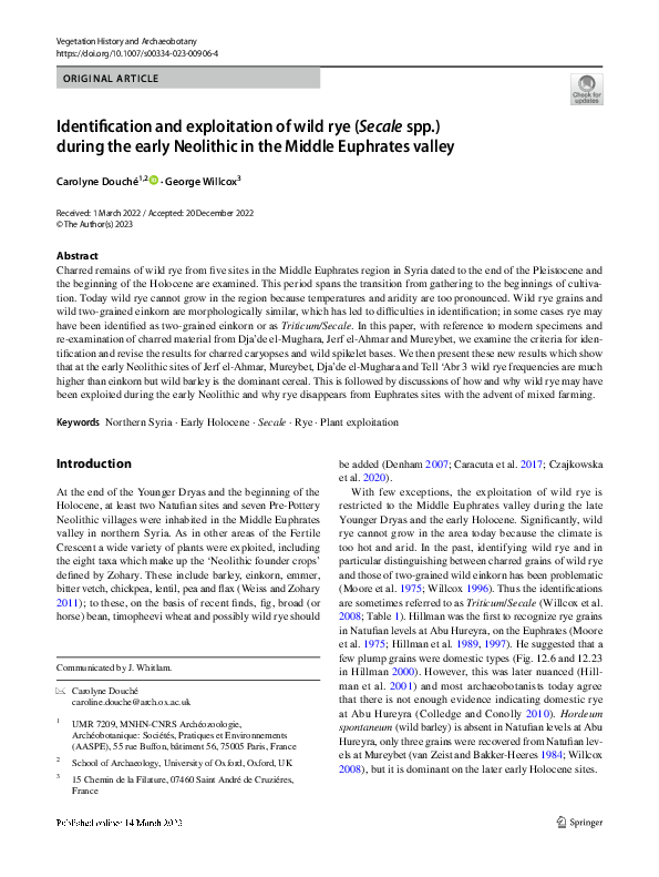 (PDF) Identification and exploitation of wild rye (Secale spp.) during