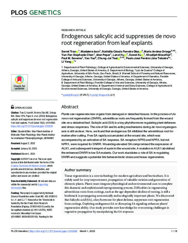 (PDF) Endogenous salicylic acid suppresses de novo root regeneration ...