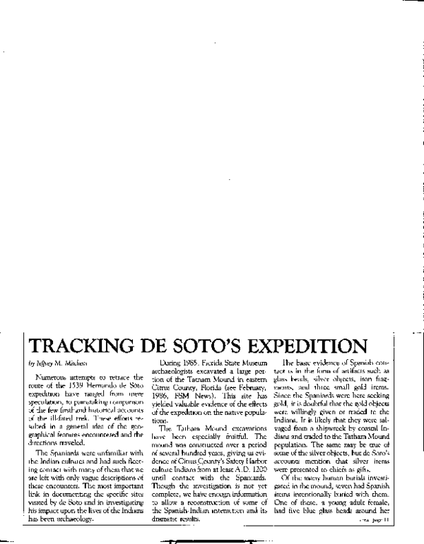 De soto essay 08 image