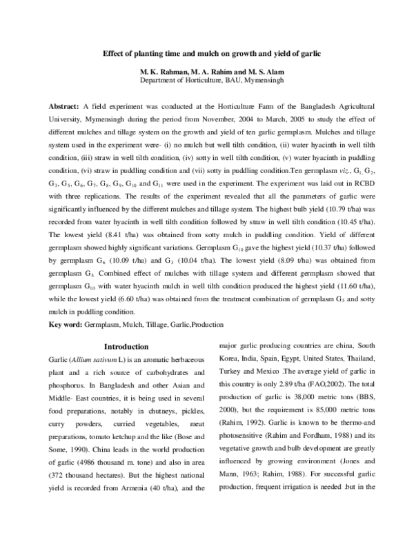 (PDF) Effect of planting time and mulch on growth and yield of garlic