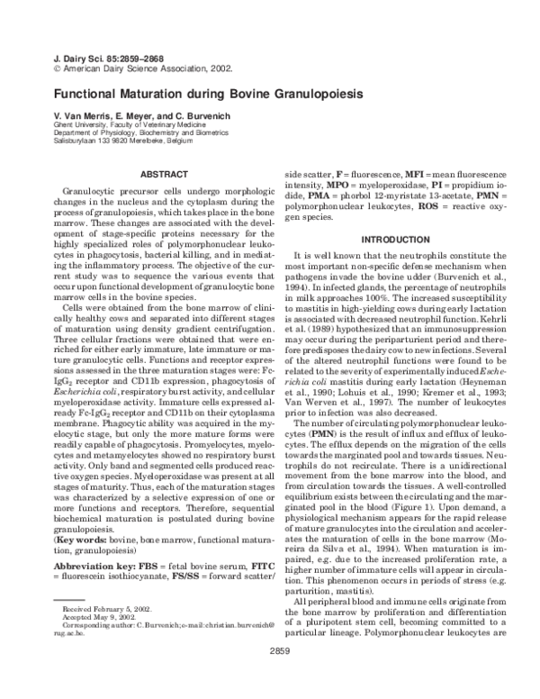 (PDF) Functional Maturation during Bovine Granulopoiesis