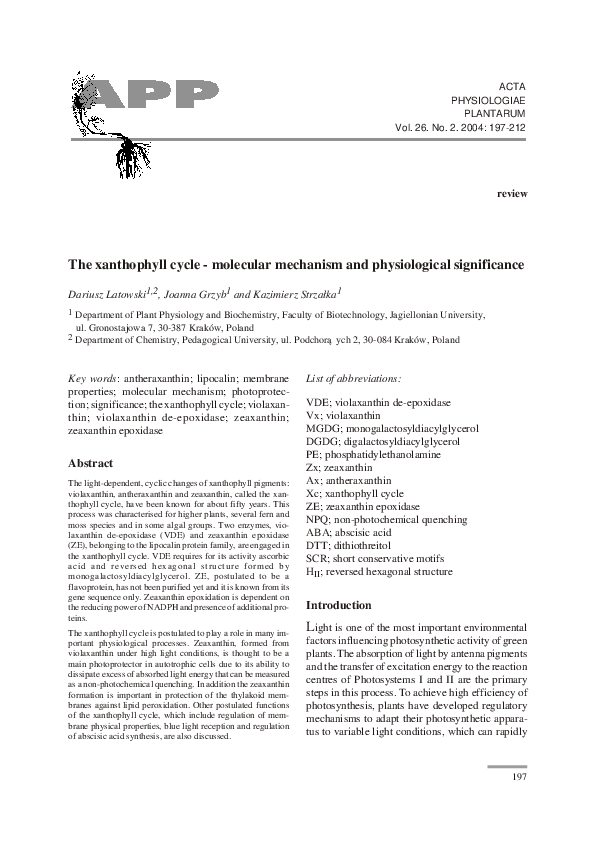 (PDF) The xanthophyll cycle - molecular mechanism and physiological ...