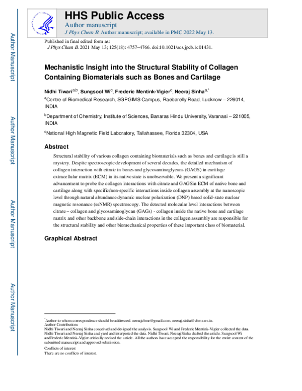 (PDF) Mechanistic Insights into the Structural Stability of Collagen ...