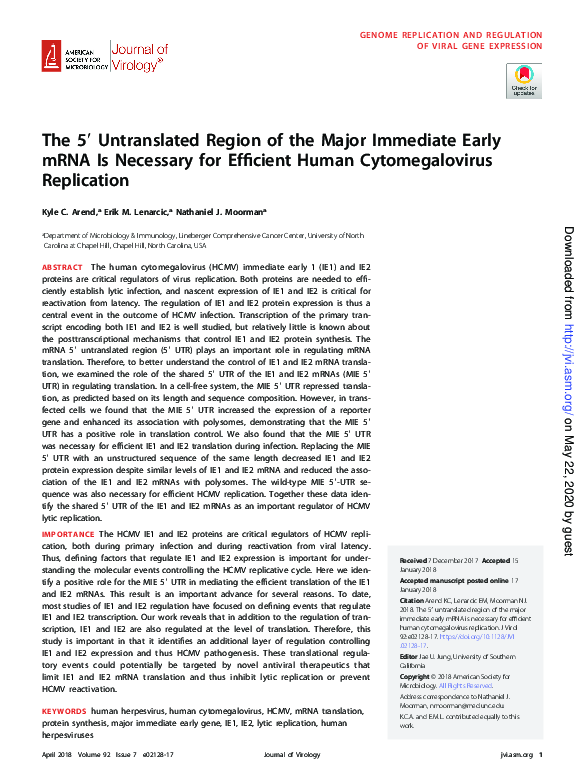 (PDF) The 5′ Untranslated Region of the Major Immediate Early mRNA Is ...