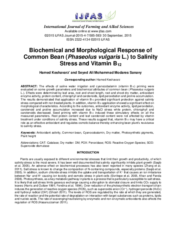(PDF) Biochemical and Morphological Response of Common Bean (Phaseolus ...