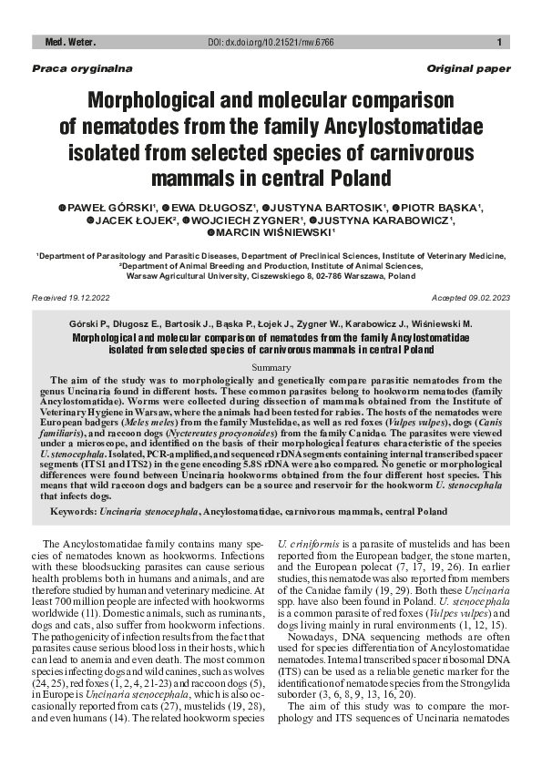 (PDF) Morphological and molecular comparison of nematodes from the ...