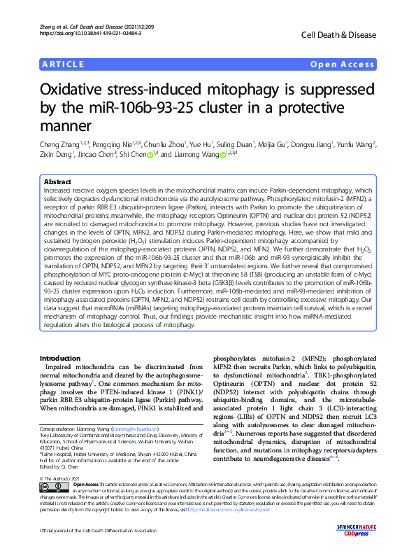 (PDF) Oxidative stress-induced mitophagy is suppressed by the miR-106b ...