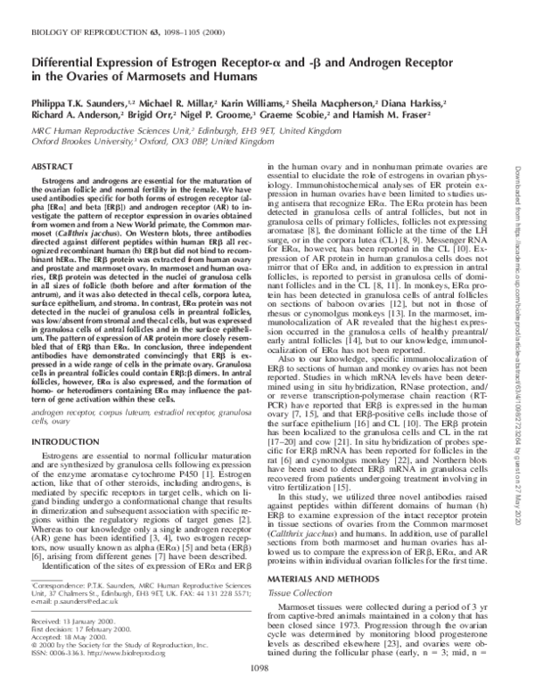 (PDF) Differential Expression of Estrogen Receptor-α and -β and ...