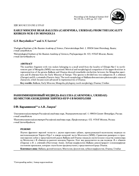 (PDF) Early Miocene bear Ballusia (Carnivora, Ursidae) from the ...