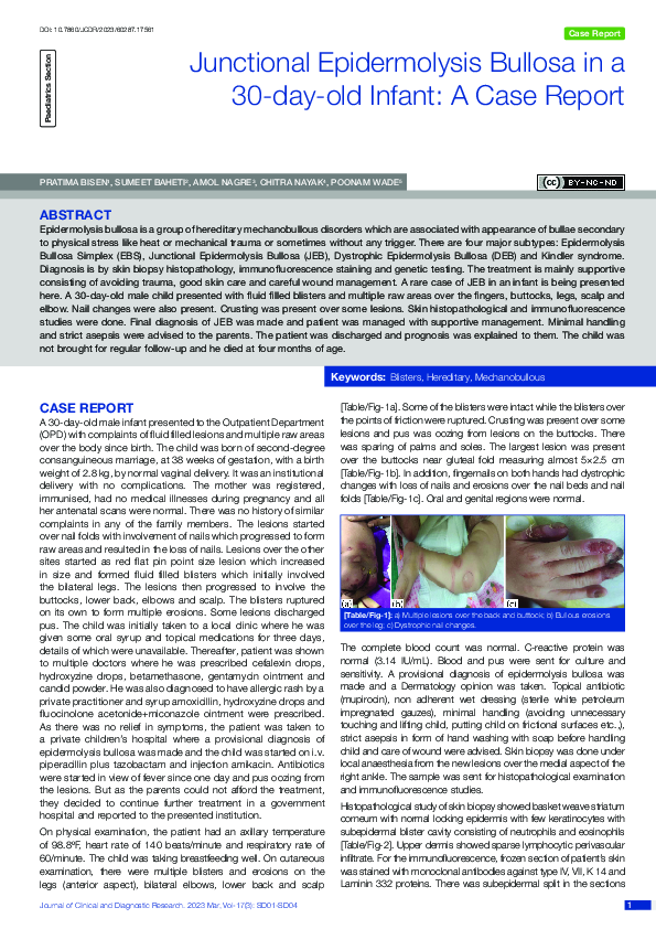 (PDF) Junctional Epidermolysis Bullosa in a 30-day-old Infant: A Case ...