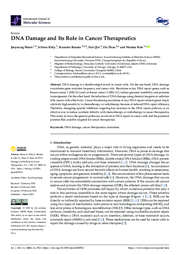 (PDF) DNA Damage and Its Role in Cancer Therapeutics
