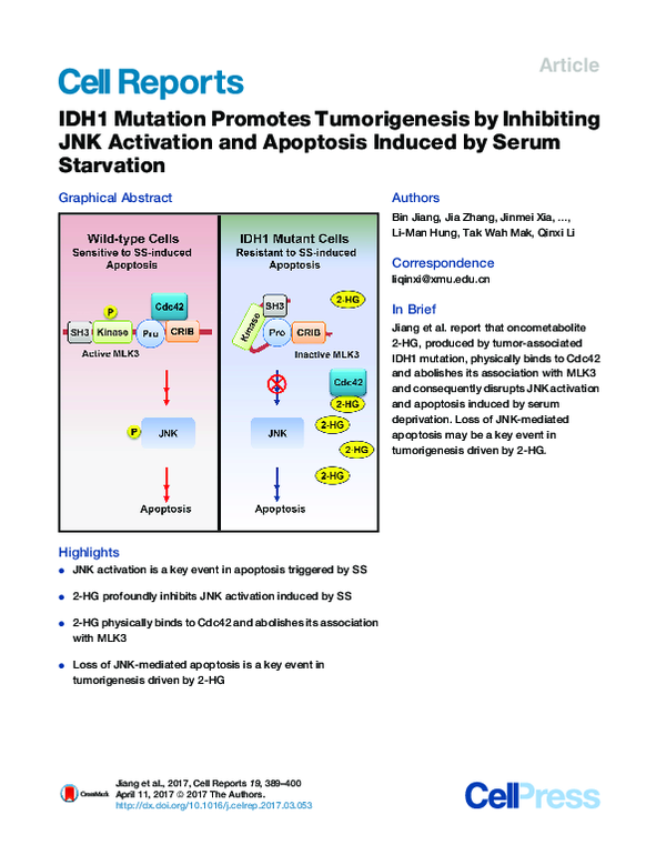 (PDF) IDH1 Mutation Promotes Tumorigenesis by Inhibiting JNK Activation ...