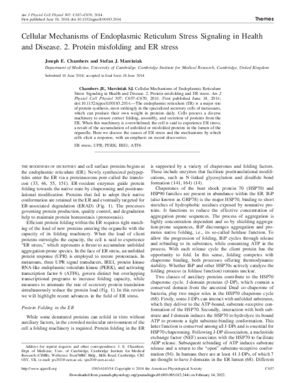 (PDF) Cellular mechanisms of endoplasmic reticulum stress signaling in ...