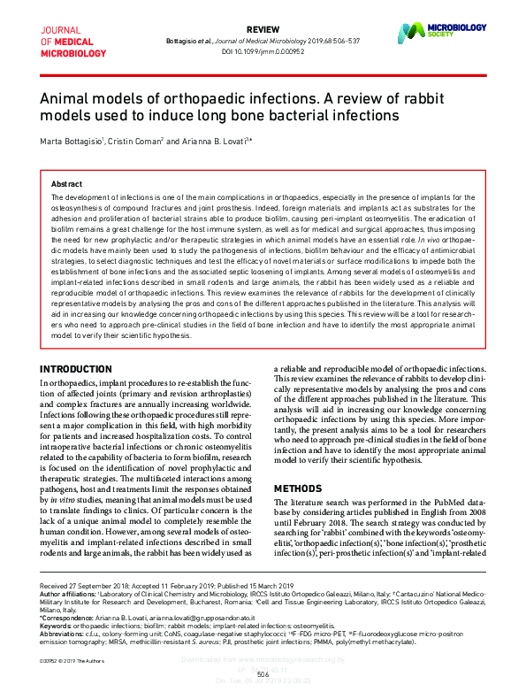 (PDF) Animal models of orthopaedic infections. A review of rabbit models used to induce long