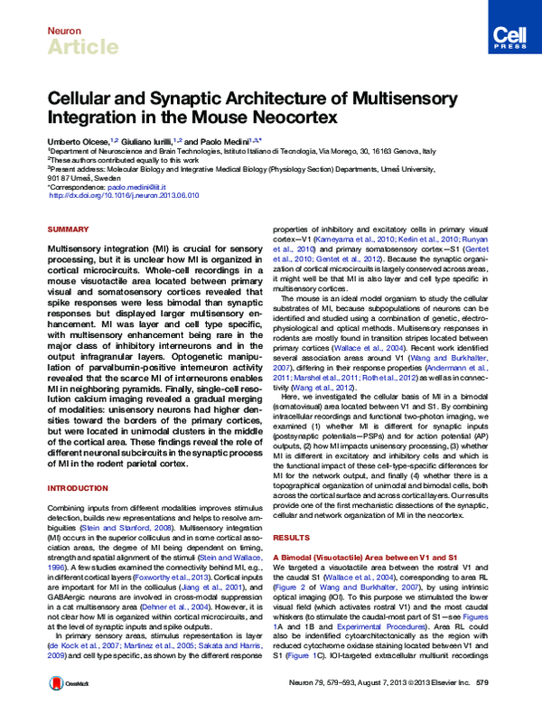 (PDF) Cellular and Synaptic Architecture of Multisensory Integration in ...