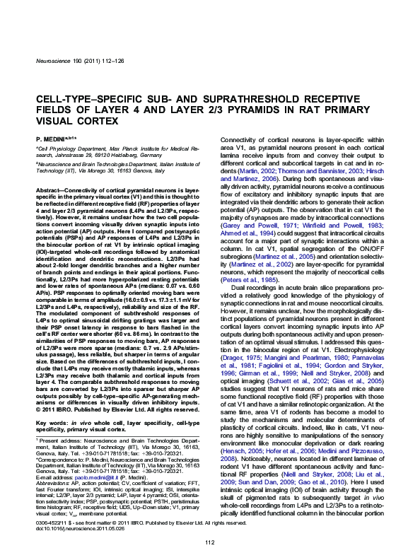 (PDF) Cell-type–specific sub- and suprathreshold receptive fields of ...