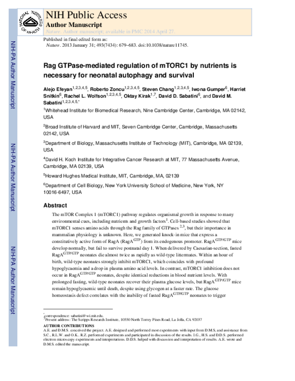 (PDF) Regulation of mTORC1 by the Rag GTPases is necessary for neonatal ...