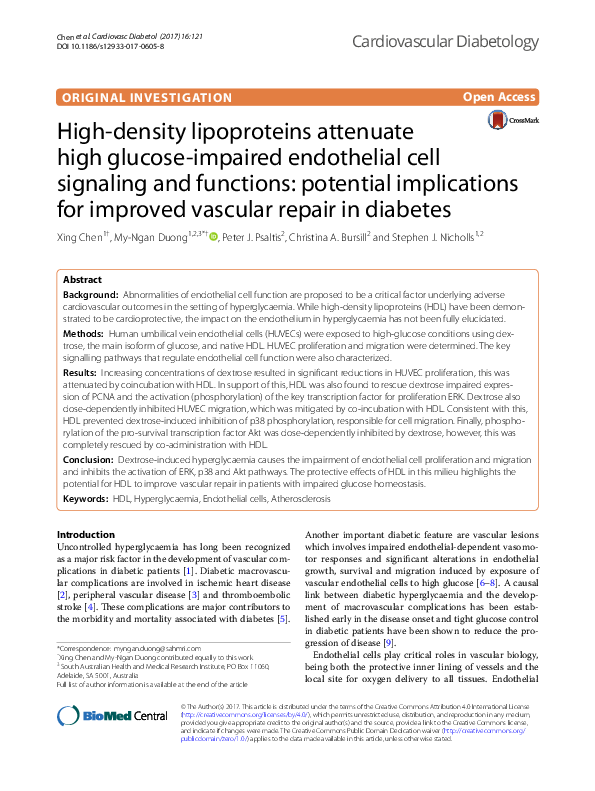 (PDF) High-density lipoproteins attenuate high glucose-impaired ...