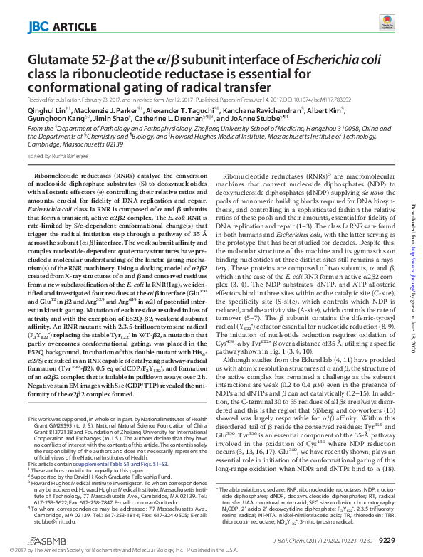 (PDF) Glutamate 52-β at the α/β subunit interface of Escherichia coli ...