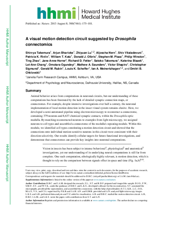 (PDF) A visual motion detection circuit suggested by Drosophila