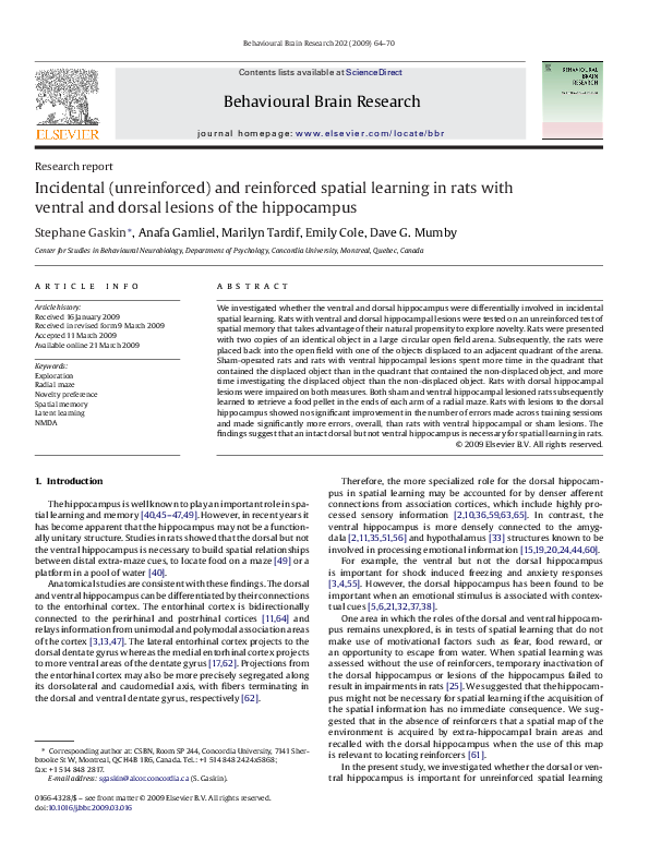 (PDF) Incidental (unreinforced) and reinforced spatial learning in rats ...