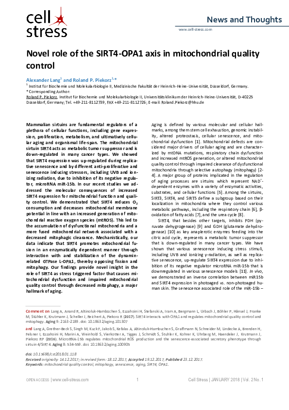 (PDF) Novel role of the SIRT4-OPA1 axis in mitochondrial quality control