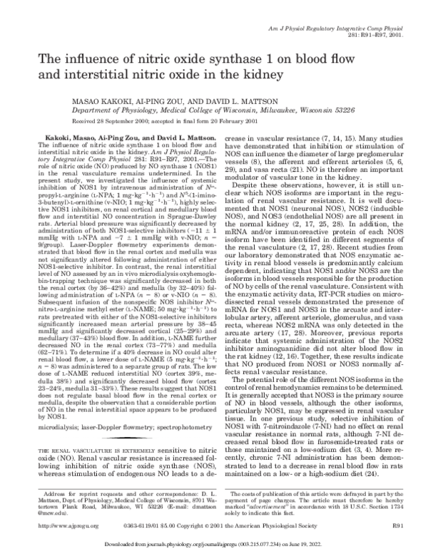 (PDF) The influence of nitric oxide synthase 1 on blood flow and ...