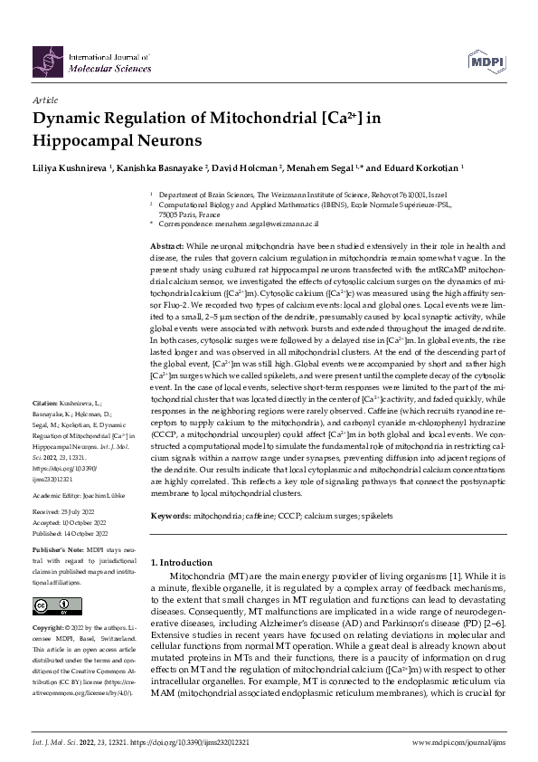 (PDF) Dynamic Regulation of Mitochondrial [Ca2+] in Hippocampal Neurons