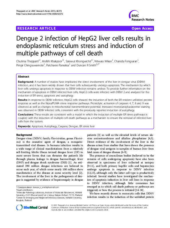 (PDF) Dengue 2 infection of HepG2 liver cells results in endoplasmic ...