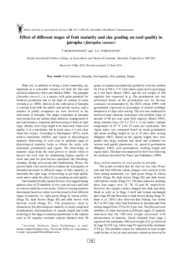 (PDF) Effect of different stages of fruit maturity and size grading on ...