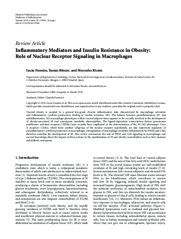 (PDF) Inflammatory Mediators and Insulin Resistance in Obesity: Role of ...