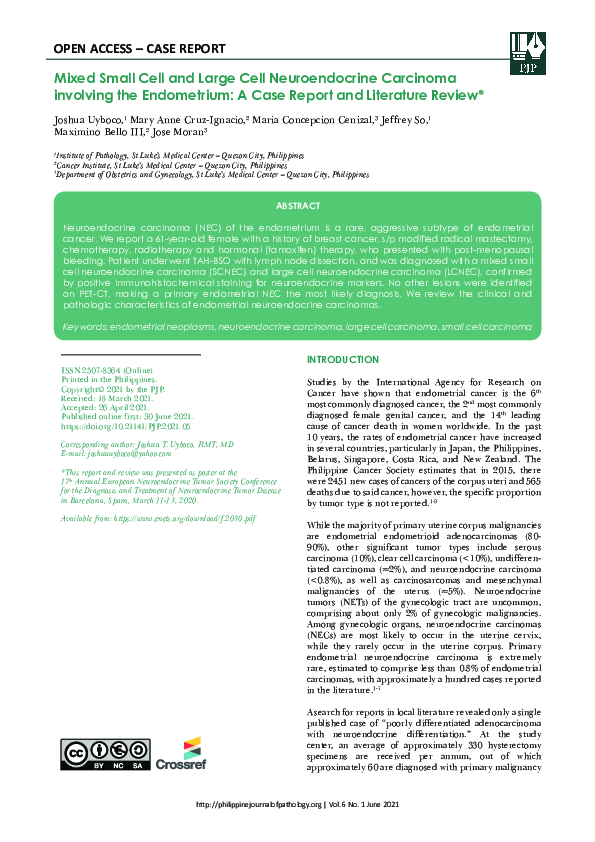 (PDF) Mixed Small Cell and Large Cell Neuroendocrine Carcinoma of the ...
