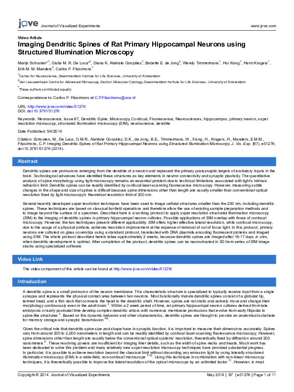 (PDF) Imaging Dendritic Spines of Rat Primary Hippocampal Neurons using ...
