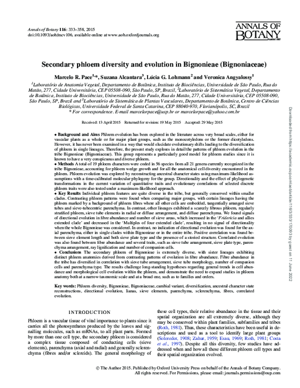 (PDF) Secondary phloem diversity and evolution in Bignonieae (Bignoniaceae)