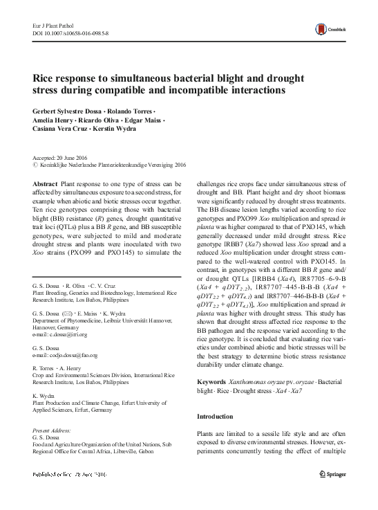 (PDF) Rice response to simultaneous bacterial blight and drought stress ...