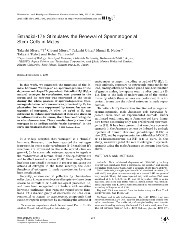 (PDF) Estradiol-17β Stimulates the Renewal of Spermatogonial Stem Cells ...