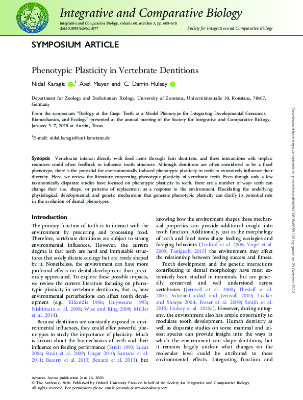 Phenotypic Plasticity in Vertebrate Dentitions