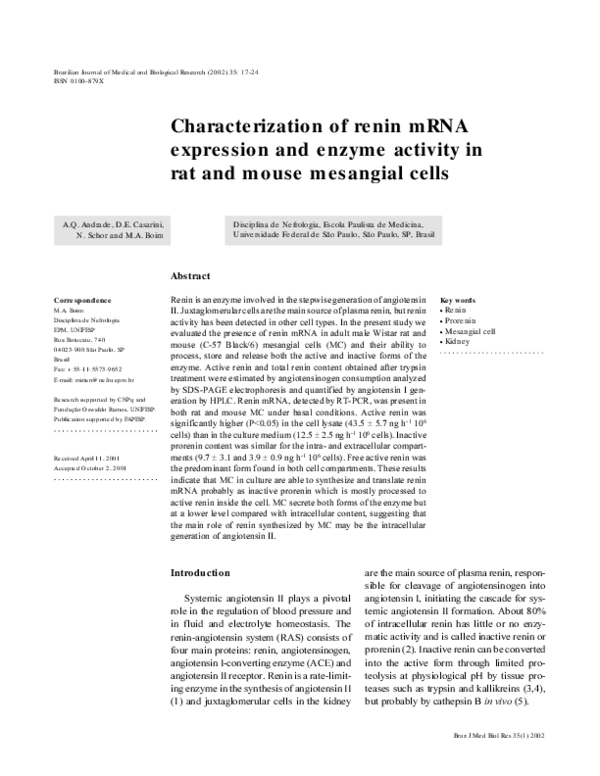 (PDF) Characterization of renin mRNA expression and enzyme activity in ...