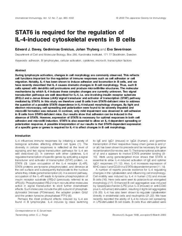 STAT6 is required for the regulation of IL-4-induced cytoskeletal events in B cells