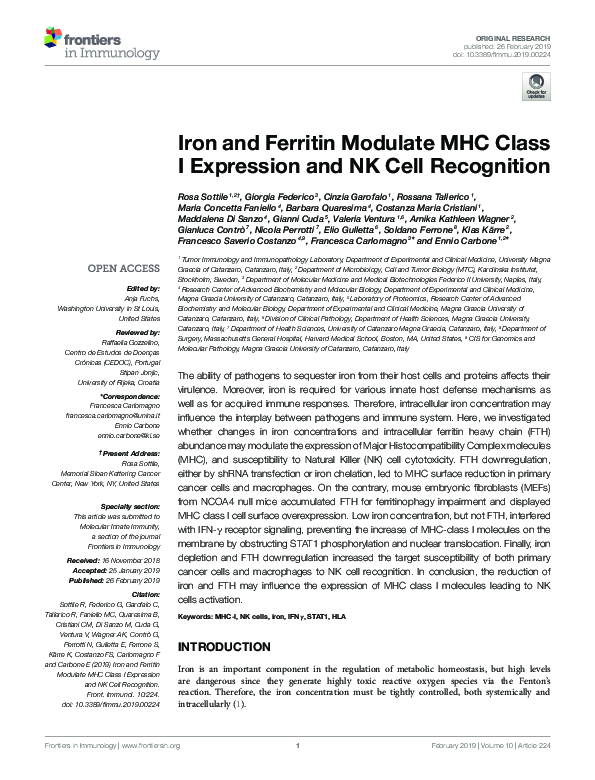 (PDF) Iron and Ferritin Modulate MHC Class I Expression and NK Cell ...
