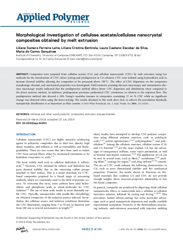 (PDF) Morphological investigation of cellulose acetate/cellulose ...