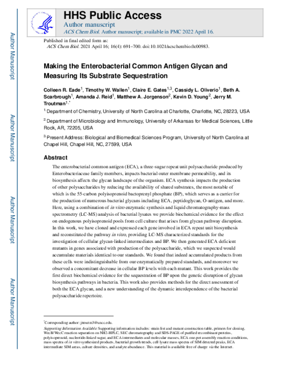 (PDF) Making the Enterobacterial Common Antigen Glycan and Measuring ...