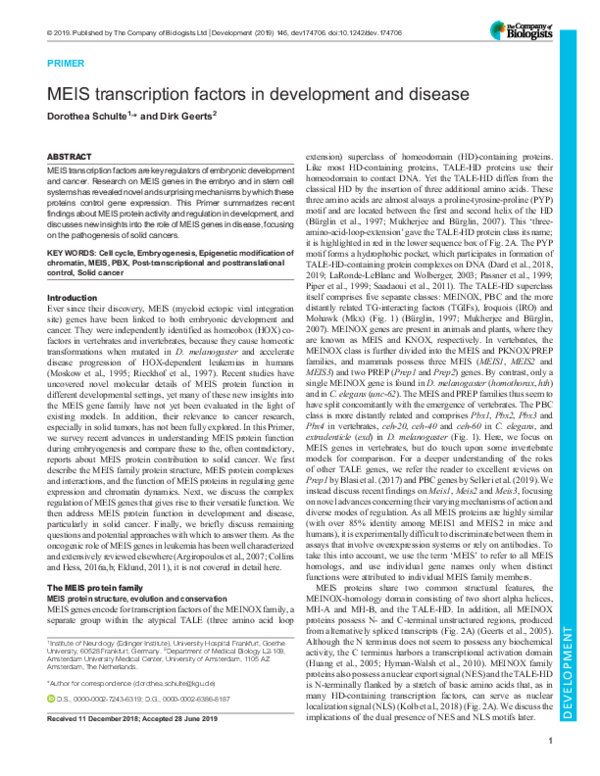 (PDF) MEIS transcription factors in development and disease