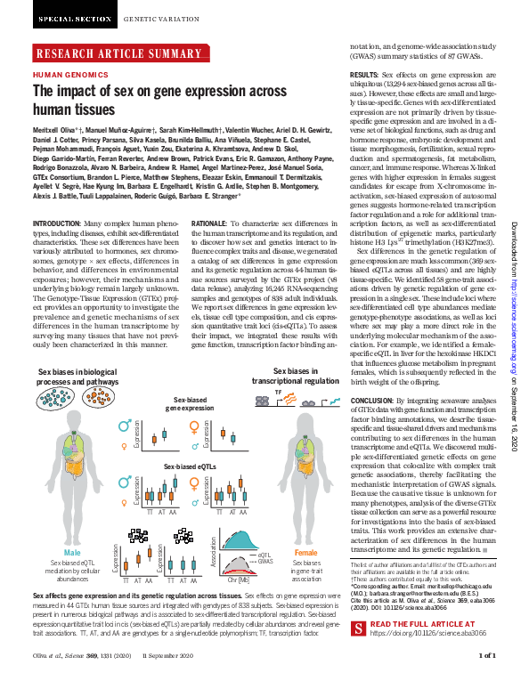 (PDF) The impact of sex on gene expression across human tissues