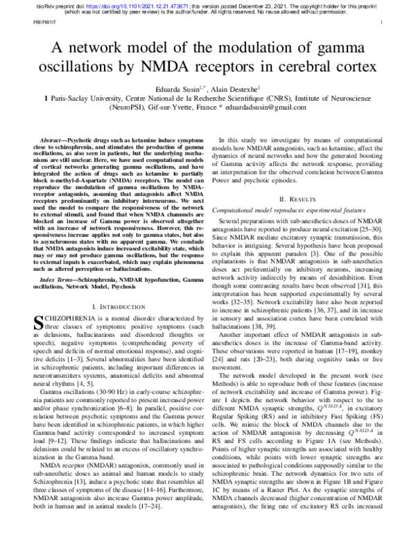 (PDF) A network model of the modulation of gamma oscillations by NMDA ...