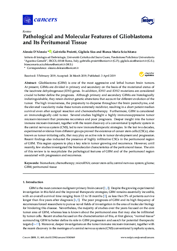 (PDF) Pathological and Molecular Features of Glioblastoma and Its ...