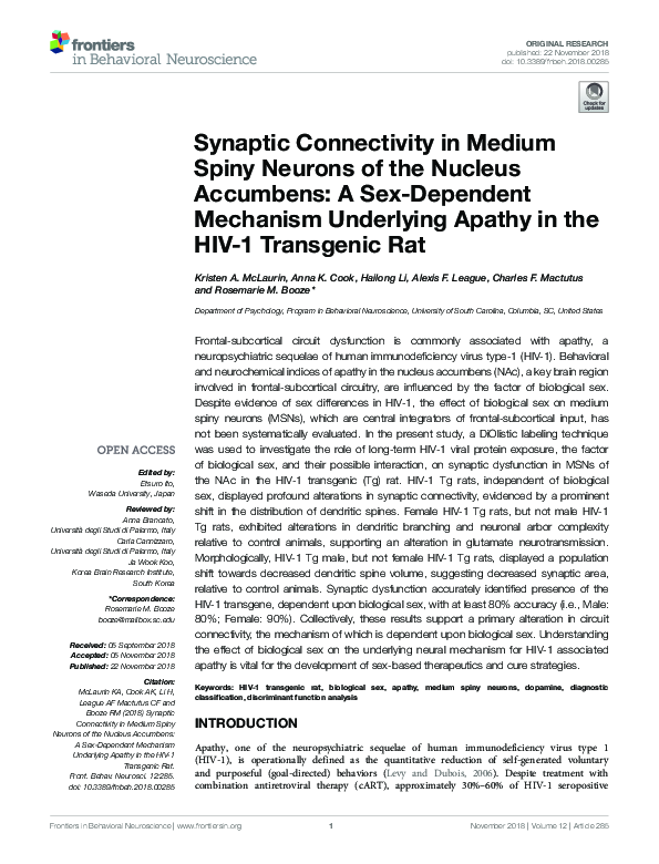 (PDF) Synaptic Connectivity in Medium Spiny Neurons of the Nucleus ...