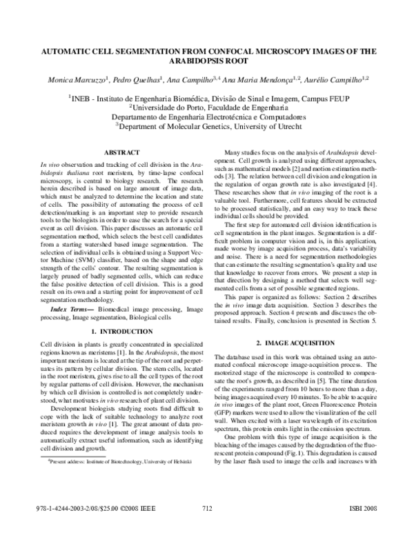 (PDF) Automatic cell segmentation from confocal microscopy images of ...